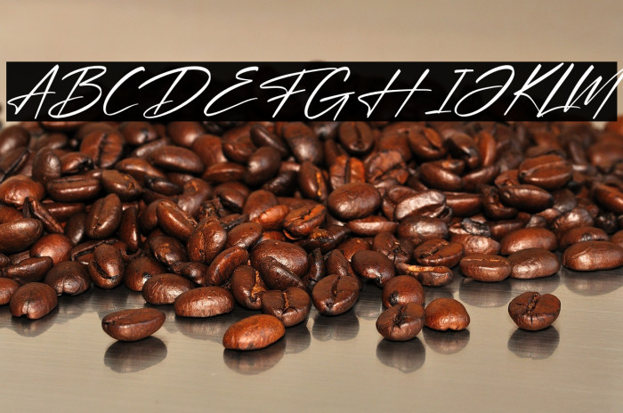 Optimistic Signature Italic Example 2