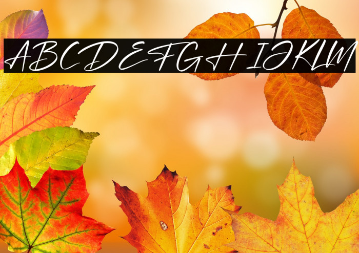 Optimistic Signature Example 1