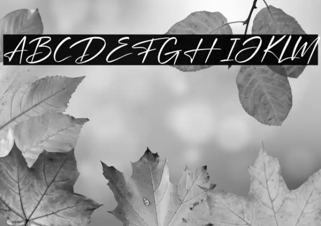 Optimistic Signature Font examples