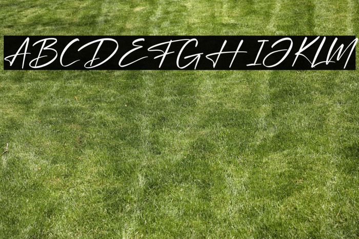 Optimistic Signature Example 3