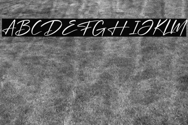 Optimistic Signature Font examples