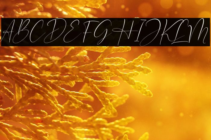 Optimistica Dreams Italic Example 2