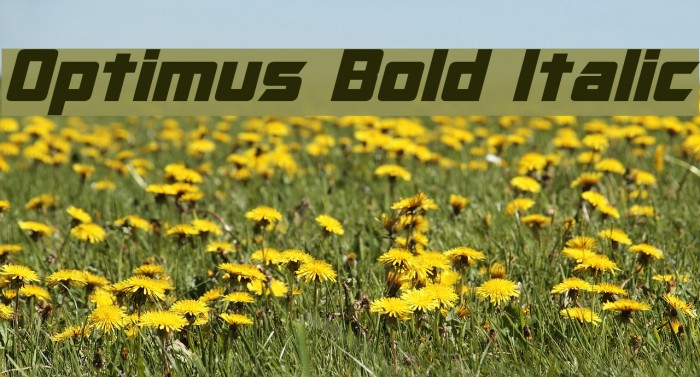 Optimus Bold Italic Font examples