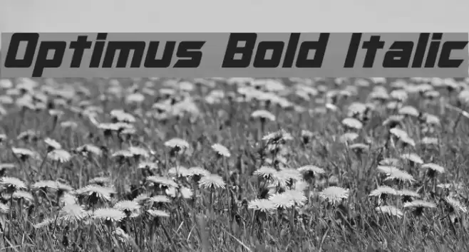 Optimus Bold Italic फ़ॉन्ट examples