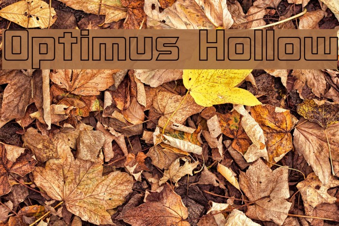 Optimus Hollow Example 2