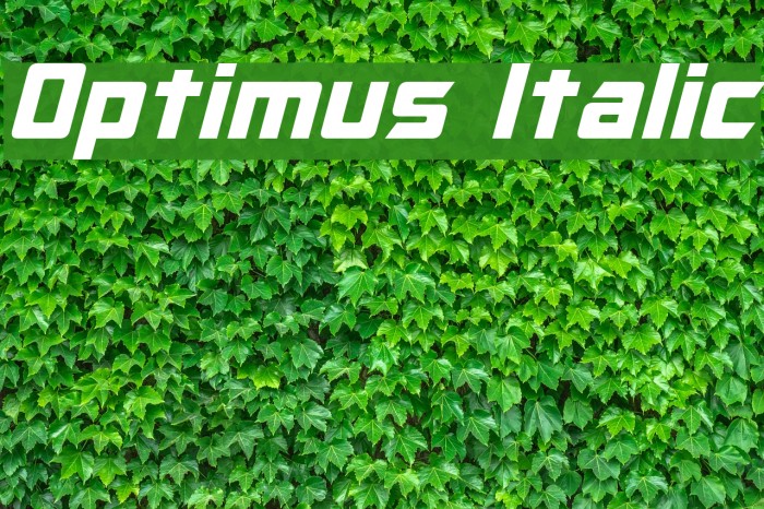 Optimus Italic Font examples