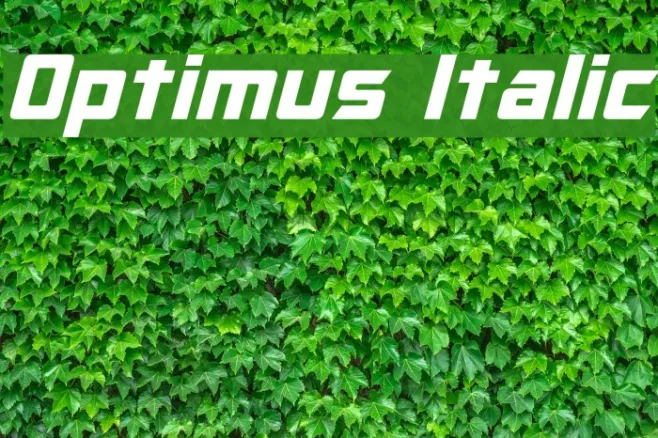 Optimus Italic Example 1