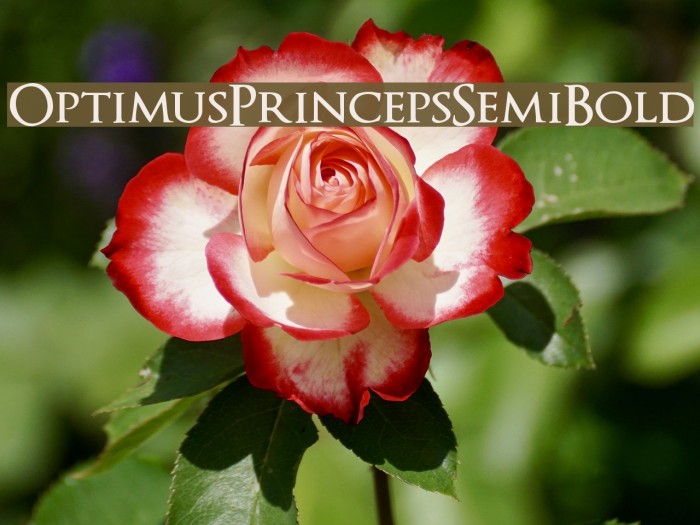 OptimusPrincepsSemiBold Font examples