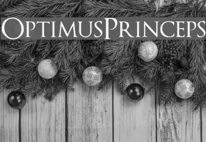 OptimusPrinceps Font examples