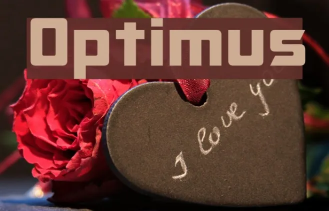 Optimus Example 2