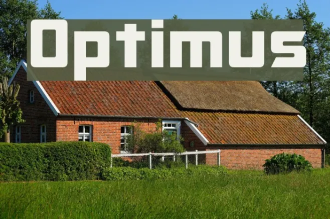Optimus Example 3