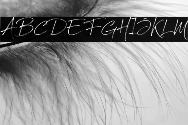 Optimust Font examples