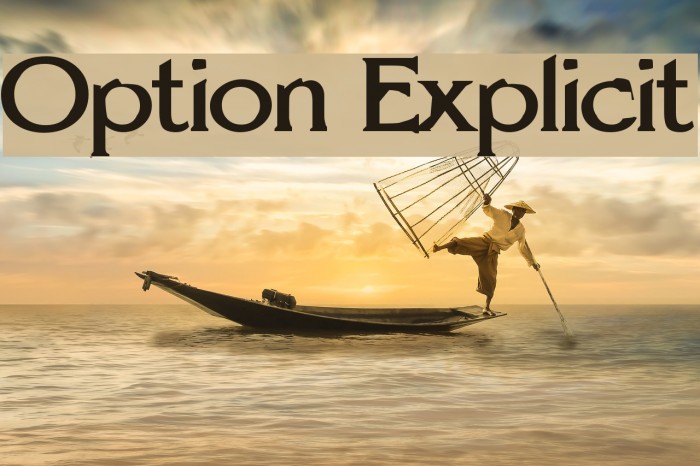 Option Explicit Fonte examples