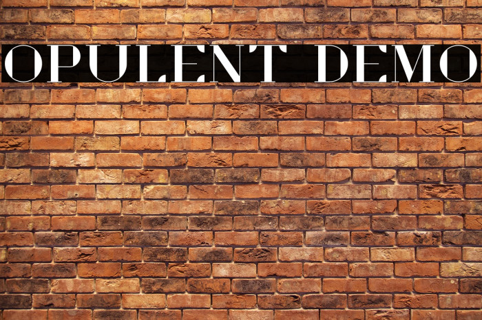 Opulent Demo Example 1