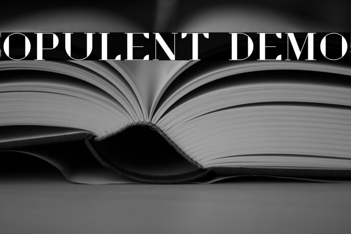 Opulent Demo Example 3