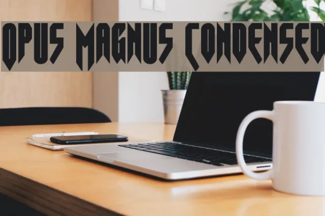Opus Magnus Condensed Example 1