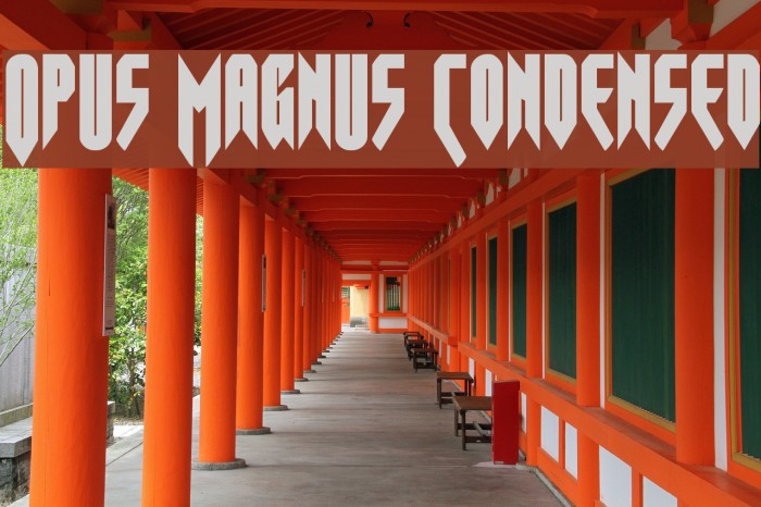 Opus Magnus Condensed Font examples