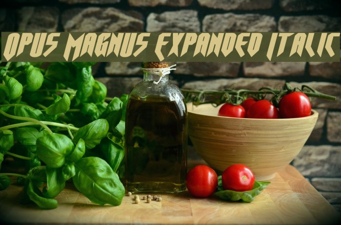 Opus Magnus Expanded Italic Font examples