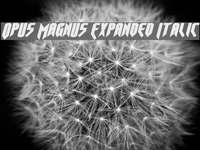 Opus Magnus Expanded Italic Font examples