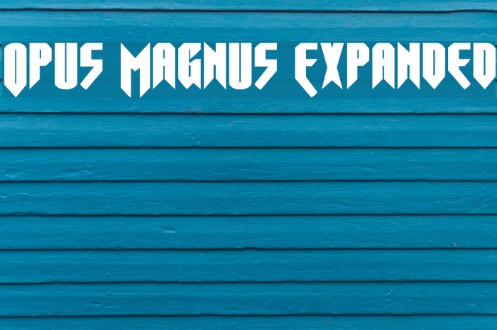 Opus Magnus Expanded Example 1
