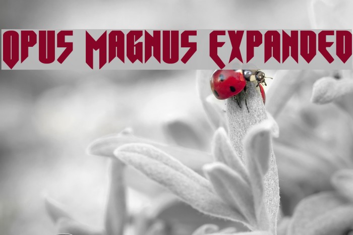 Opus Magnus Expanded Example 2