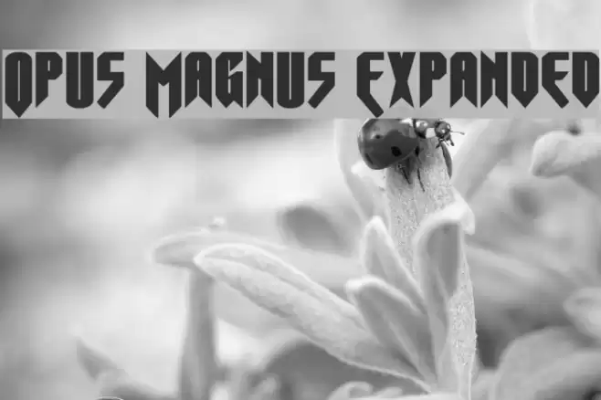 Opus Magnus Expanded Font examples