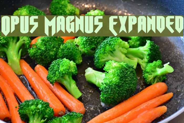 Opus Magnus Expanded Example 3