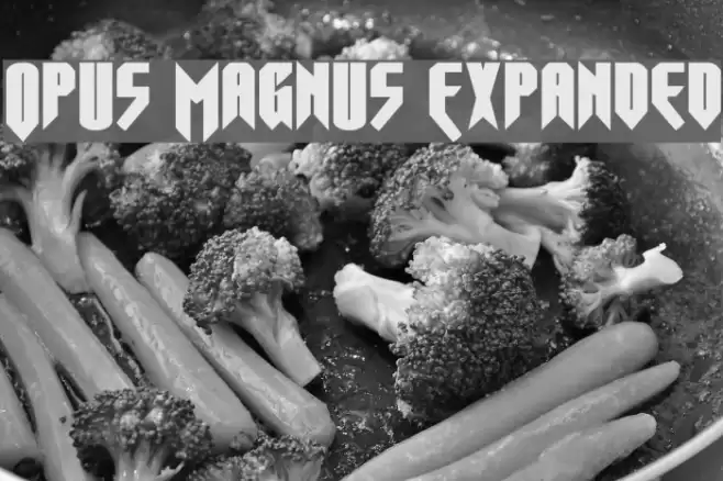 Opus Magnus Expanded Font examples