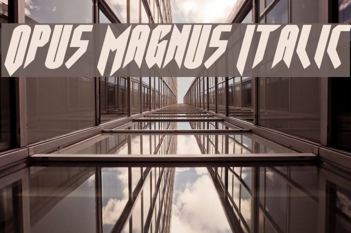 Opus Magnus Italic Example 3