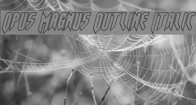 Opus Magnus Outline Italic Font examples