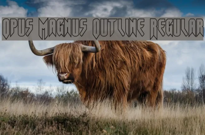 Opus Magnus Outline Regular Example 3