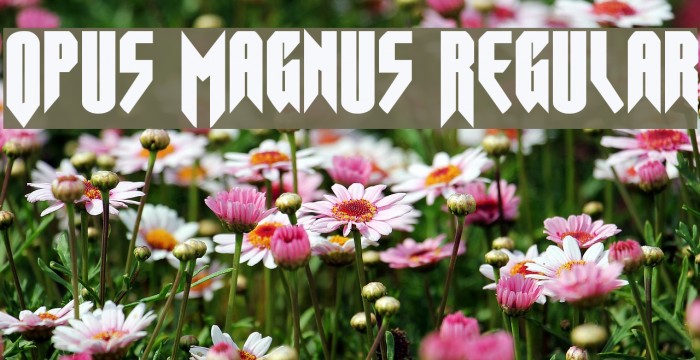 Opus Magnus Regular Font examples