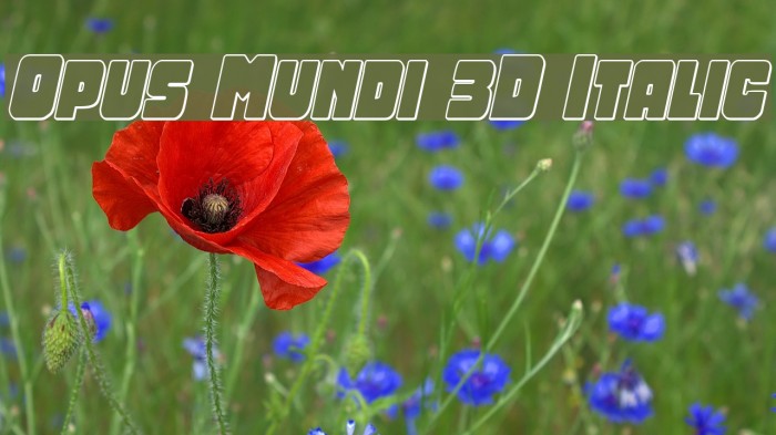 Opus Mundi 3D Italic Example 2