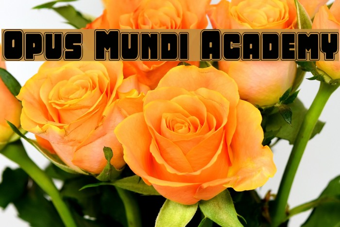 Opus Mundi Academy Font examples