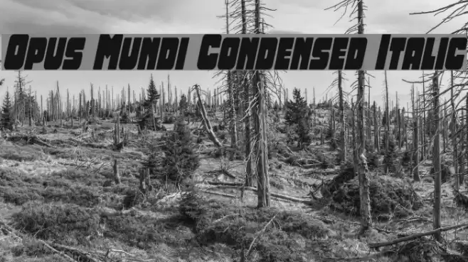 Opus Mundi Condensed Italic Font examples