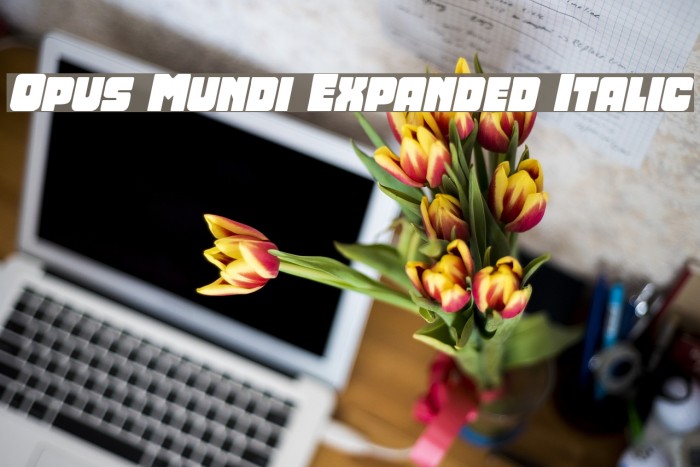 Opus Mundi Expanded Italic Example 1