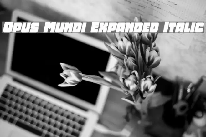 Opus Mundi Expanded Italic Font examples