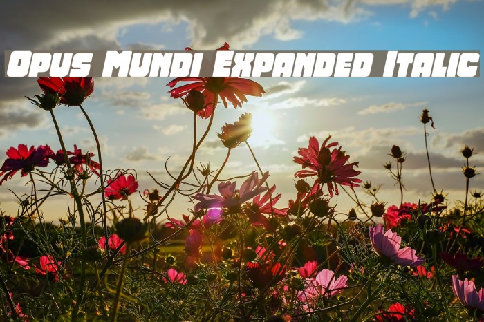 Opus Mundi Expanded Italic Example 3