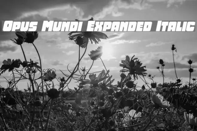 Opus Mundi Expanded Italic Font examples