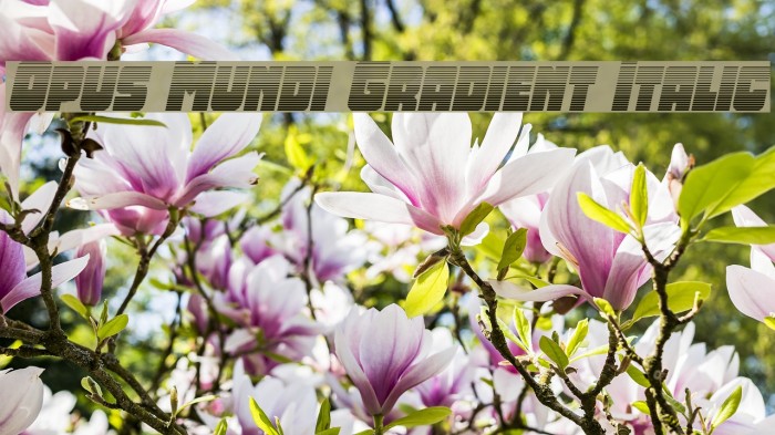 Opus Mundi Gradient Italic Example 3