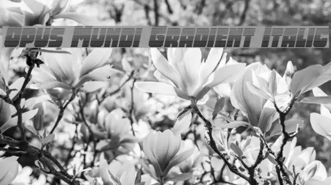 Opus Mundi Gradient Italic Font examples