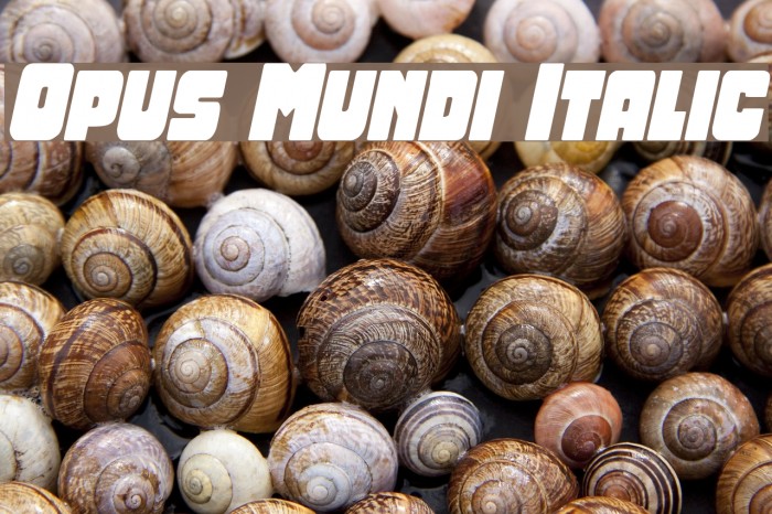 Opus Mundi Italic Font examples