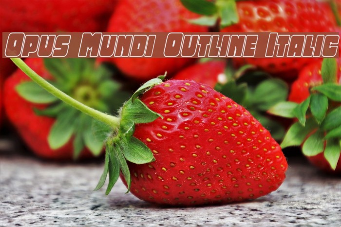 Opus Mundi Outline Italic Example 2