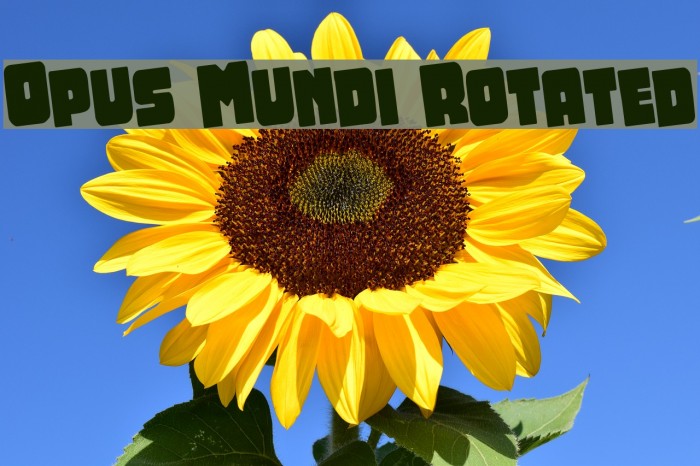 Opus Mundi Rotated Font examples