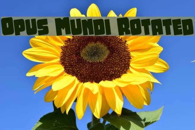 Opus Mundi Rotated Example 2