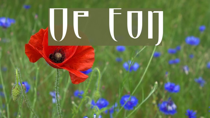 Opus Font examples