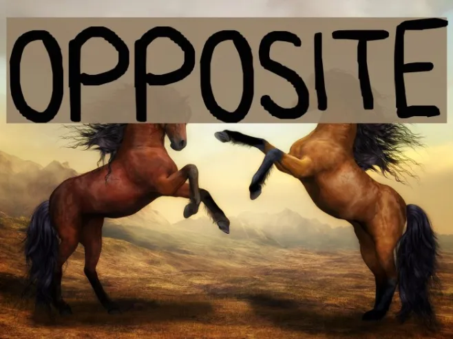 opposite Example 1