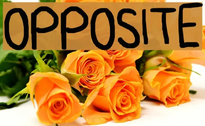 opposite Example 2