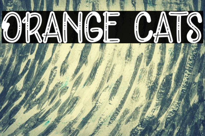 ORANGE CATS Font examples