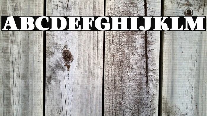 ORANGESPERSONALUSE-Bold Example 1